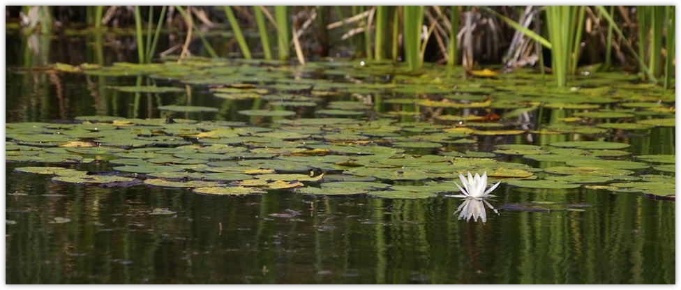 wra, water-resource-associates, uk-water-consultants, water-and-environment